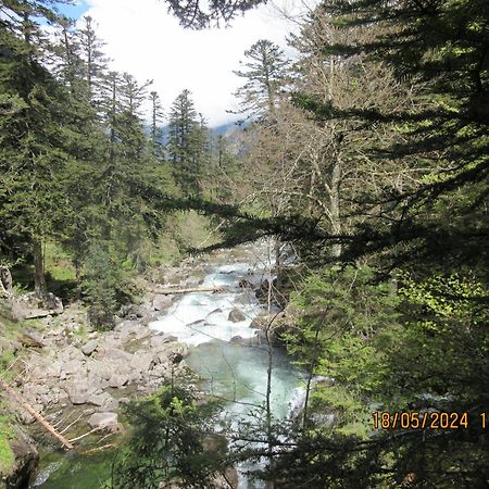 Studio Cerisema Pyrenees Zenith Люс-Сен-Совер Екстериор снимка